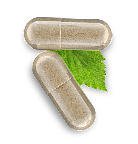 Viagra Natural